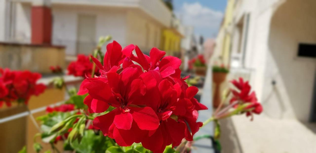 Cupersanum B&B Κονβερσάνο Εξωτερικό φωτογραφία